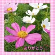 ヒメ日記 2025/09/12 09:28 投稿 宮野　とうこ ソープランド蜜 人妻・美熟女専門店