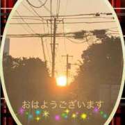 ヒメ日記 2025/09/17 07:52 投稿 宮野　とうこ ソープランド蜜 人妻・美熟女専門店