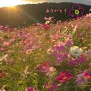 ヒメ日記 2025/09/20 11:08 投稿 宮野　とうこ ソープランド蜜 人妻・美熟女専門店