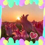 ヒメ日記 2025/10/03 09:42 投稿 宮野　とうこ ソープランド蜜 人妻・美熟女専門店