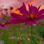 ヒメ日記 2025/10/04 18:42 投稿 宮野　とうこ ソープランド蜜 人妻・美熟女専門店