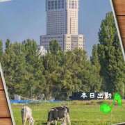 ヒメ日記 2025/10/06 12:22 投稿 宮野　とうこ ソープランド蜜 人妻・美熟女専門店