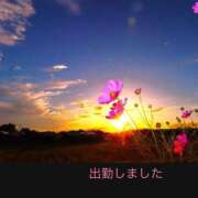 ヒメ日記 2025/10/06 18:32 投稿 宮野　とうこ ソープランド蜜 人妻・美熟女専門店