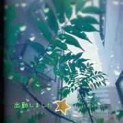 ヒメ日記 2025/10/09 18:42 投稿 宮野　とうこ ソープランド蜜 人妻・美熟女専門店