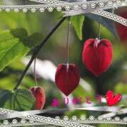 ヒメ日記 2025/10/10 09:52 投稿 宮野　とうこ ソープランド蜜 人妻・美熟女専門店