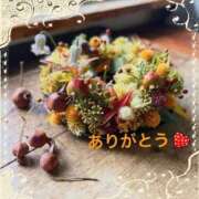 ヒメ日記 2025/10/15 09:23 投稿 宮野　とうこ ソープランド蜜 人妻・美熟女専門店