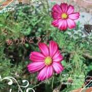 ヒメ日記 2025/10/17 09:22 投稿 宮野　とうこ ソープランド蜜 人妻・美熟女専門店