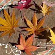 ヒメ日記 2025/10/30 07:42 投稿 宮野　とうこ ソープランド蜜 人妻・美熟女専門店