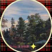 ヒメ日記 2025/11/02 11:32 投稿 宮野　とうこ ソープランド蜜 人妻・美熟女専門店