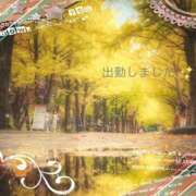 ヒメ日記 2025/11/02 18:42 投稿 宮野　とうこ ソープランド蜜 人妻・美熟女専門店