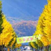 ヒメ日記 2025/11/05 08:02 投稿 宮野　とうこ ソープランド蜜 人妻・美熟女専門店