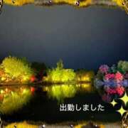 ヒメ日記 2025/11/05 18:42 投稿 宮野　とうこ ソープランド蜜 人妻・美熟女専門店