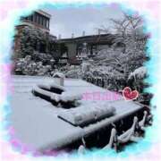 ヒメ日記 2025/11/08 10:42 投稿 宮野　とうこ ソープランド蜜 人妻・美熟女専門店