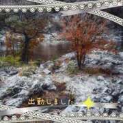 ヒメ日記 2025/11/08 18:33 投稿 宮野　とうこ ソープランド蜜 人妻・美熟女専門店