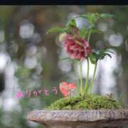 ヒメ日記 2025/11/09 11:44 投稿 宮野　とうこ ソープランド蜜 人妻・美熟女専門店