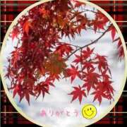 ヒメ日記 2025/11/10 09:22 投稿 宮野　とうこ ソープランド蜜 人妻・美熟女専門店