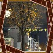 ヒメ日記 2025/11/10 19:12 投稿 宮野　とうこ ソープランド蜜 人妻・美熟女専門店