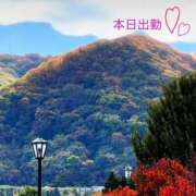 ヒメ日記 2025/11/16 10:22 投稿 宮野　とうこ ソープランド蜜 人妻・美熟女専門店