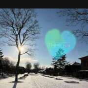 ヒメ日記 2025/11/18 10:02 投稿 宮野　とうこ ソープランド蜜 人妻・美熟女専門店