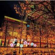 ヒメ日記 2025/11/24 18:42 投稿 宮野　とうこ ソープランド蜜 人妻・美熟女専門店