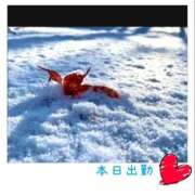 ヒメ日記 2025/12/04 09:22 投稿 宮野　とうこ ソープランド蜜 人妻・美熟女専門店