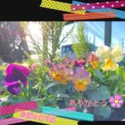 ヒメ日記 2025/12/05 09:22 投稿 宮野　とうこ ソープランド蜜 人妻・美熟女専門店