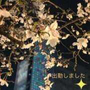 宮野　とうこ 出勤しました ソープランド蜜 人妻・美熟女専門店