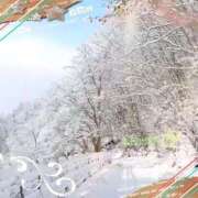 ヒメ日記 2025/12/12 09:33 投稿 宮野　とうこ ソープランド蜜 人妻・美熟女専門店