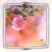 ヒメ日記 2025/12/13 11:44 投稿 宮野　とうこ ソープランド蜜 人妻・美熟女専門店