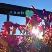 宮野　とうこ 本日出勤 ソープランド蜜 人妻・美熟女専門店