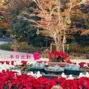 ヒメ日記 2025/12/20 10:22 投稿 宮野　とうこ ソープランド蜜 人妻・美熟女専門店