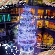 ヒメ日記 2025/12/21 18:45 投稿 宮野　とうこ ソープランド蜜 人妻・美熟女専門店