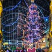 ヒメ日記 2025/12/25 09:37 投稿 宮野　とうこ ソープランド蜜 人妻・美熟女専門店