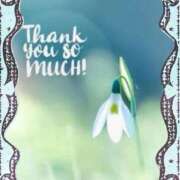 ヒメ日記 2025/12/26 12:42 投稿 宮野　とうこ ソープランド蜜 人妻・美熟女専門店