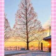 ヒメ日記 2026/01/04 08:02 投稿 宮野　とうこ ソープランド蜜 人妻・美熟女専門店