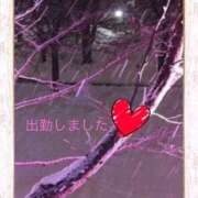 ヒメ日記 2026/01/04 18:42 投稿 宮野　とうこ ソープランド蜜 人妻・美熟女専門店