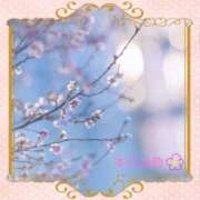 ヒメ日記 2026/01/06 12:23 投稿 宮野　とうこ ソープランド蜜 人妻・美熟女専門店