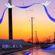 ヒメ日記 2026/01/06 18:42 投稿 宮野　とうこ ソープランド蜜 人妻・美熟女専門店