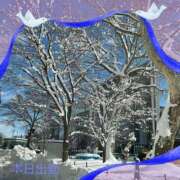 ヒメ日記 2026/01/15 08:52 投稿 宮野　とうこ ソープランド蜜 人妻・美熟女専門店