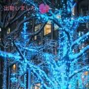 ヒメ日記 2026/01/15 19:48 投稿 宮野　とうこ ソープランド蜜 人妻・美熟女専門店