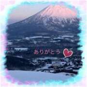 ヒメ日記 2026/01/18 11:43 投稿 宮野　とうこ ソープランド蜜 人妻・美熟女専門店