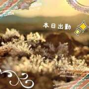 ヒメ日記 2026/01/19 10:59 投稿 宮野　とうこ ソープランド蜜 人妻・美熟女専門店