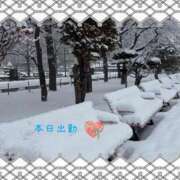 ヒメ日記 2026/01/22 09:42 投稿 宮野　とうこ ソープランド蜜 人妻・美熟女専門店