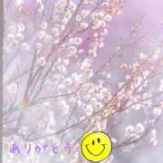 ヒメ日記 2026/02/04 09:35 投稿 宮野　とうこ ソープランド蜜 人妻・美熟女専門店