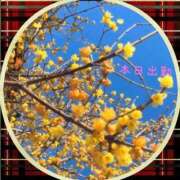 ヒメ日記 2026/02/22 12:26 投稿 宮野　とうこ ソープランド蜜 人妻・美熟女専門店