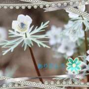 ヒメ日記 2026/02/23 11:02 投稿 宮野　とうこ ソープランド蜜 人妻・美熟女専門店