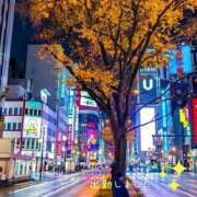 ヒメ日記 2026/02/23 18:48 投稿 宮野　とうこ ソープランド蜜 人妻・美熟女専門店