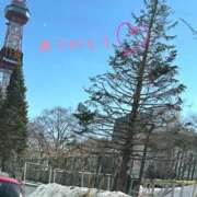 ヒメ日記 2026/02/25 12:52 投稿 宮野　とうこ ソープランド蜜 人妻・美熟女専門店