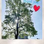 ヒメ日記 2026/03/06 12:32 投稿 宮野　とうこ ソープランド蜜 人妻・美熟女専門店