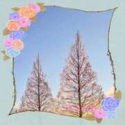 ヒメ日記 2026/03/09 12:22 投稿 宮野　とうこ ソープランド蜜 人妻・美熟女専門店